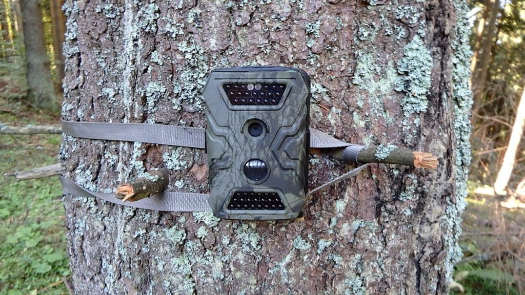 Best Deer Cameras Under $100