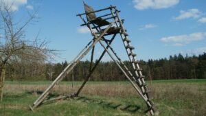 How to Build a Ladder Stand for Deer Hunting